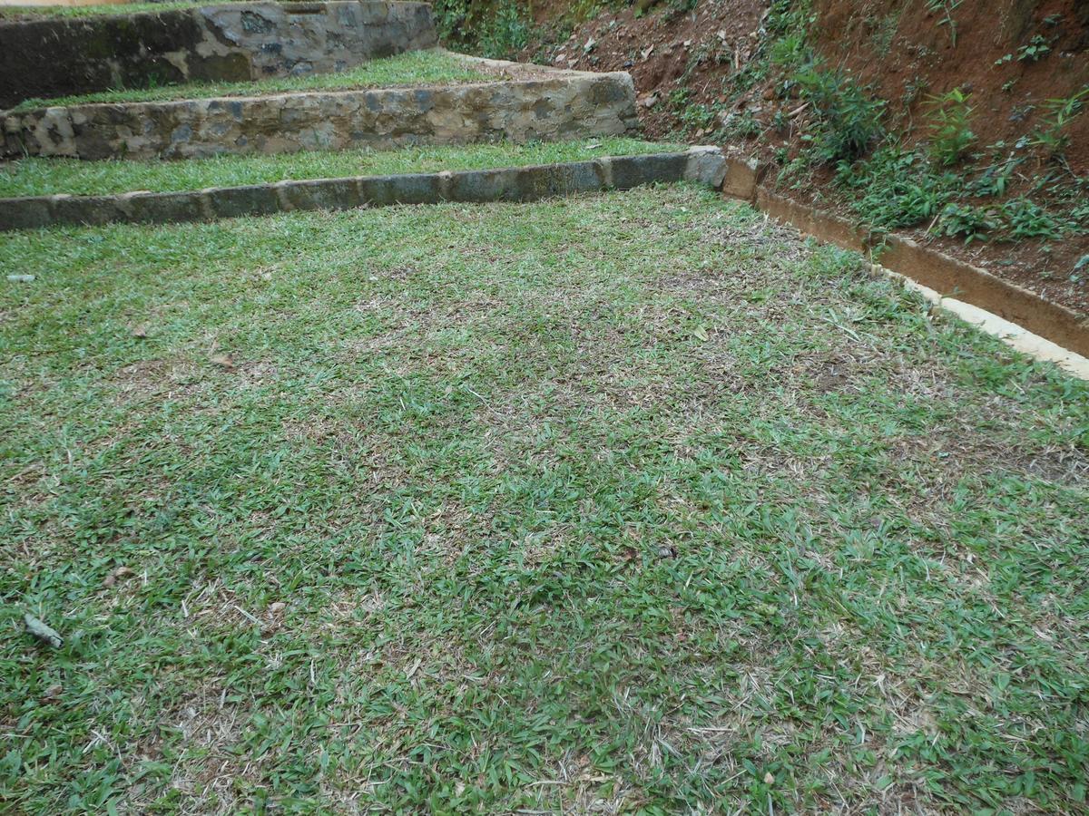Lavender Hills Home Stay Kandy Exterior foto